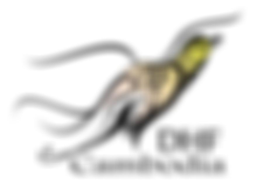 The Dignity And Hope Foundation, Cambodia | Charici