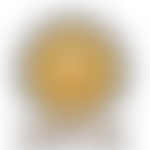 Shri Vallabh Nidhi - UK | Charici