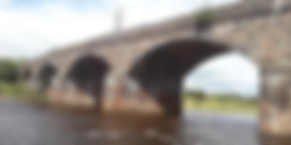 Carlisle Waverley Viaduct Trust | Charici