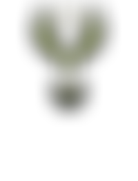 Rafah International | Charici