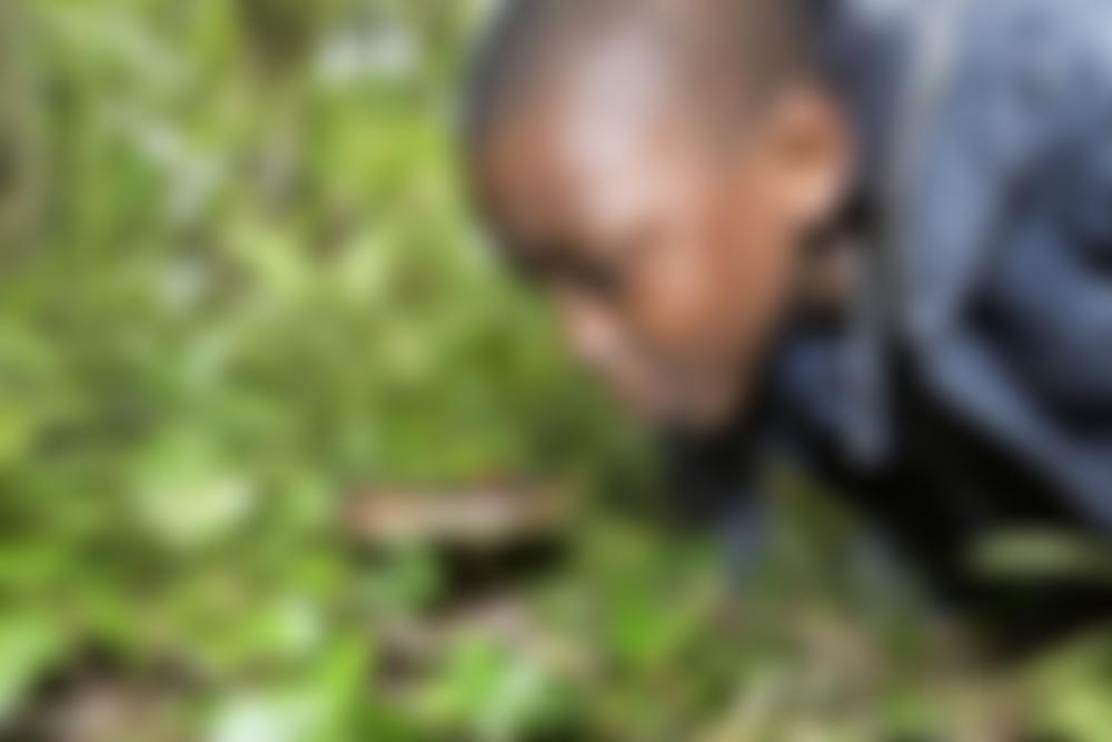 The Garden Classroom | Charici