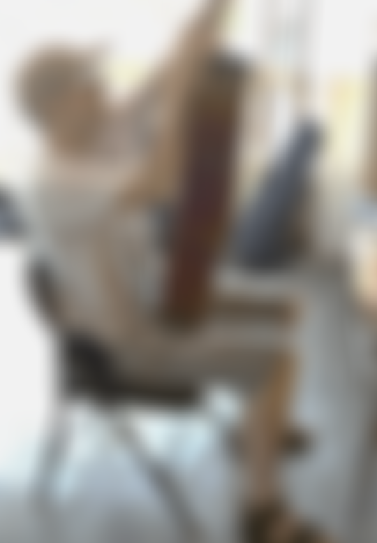 Luthiers Sans Frontieres UK | Charici