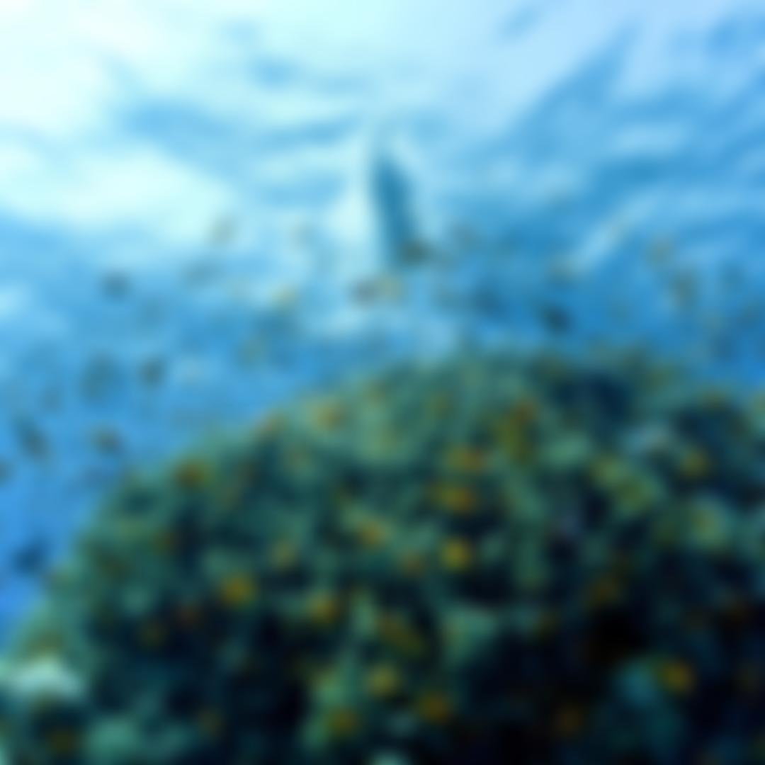 The Lewis Pugh Foundation | Charici