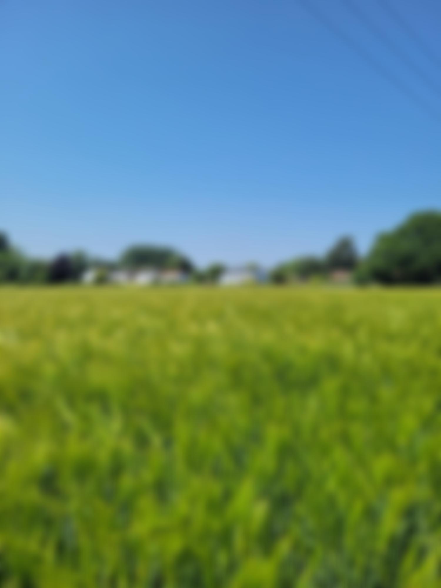 Brightwell Cum Sotwell Community Association | Charici