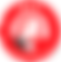 Business Empowering Employment Programme | Charici