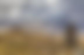 The Binsey Team Ministry Parochial Church Council | Charici