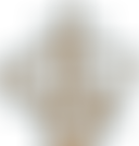 Leeds Alliance Church | Charici