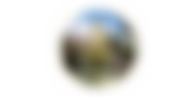 Victoria Fountain | Charici