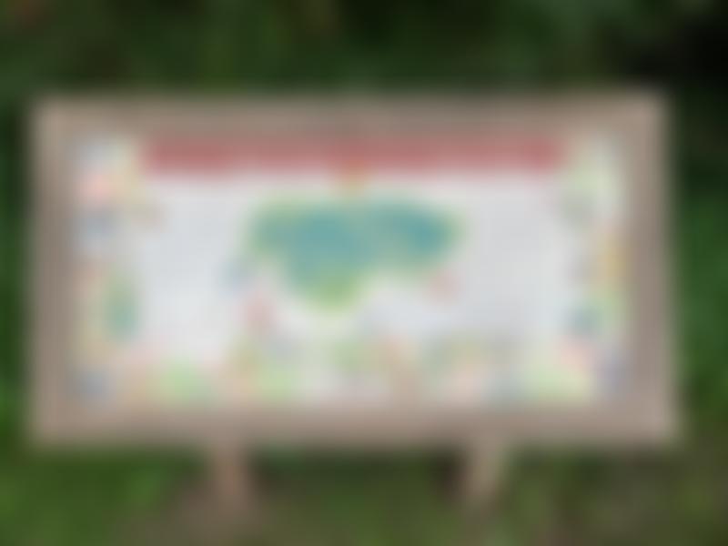 Maes Y Pant/Hollowfield Action Group Limited | Charici