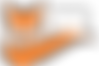 Lowlands Farm Riding For The Disabled Association Incorporating Carriage Driving | Charici