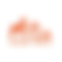 Oak Tree Animals' Charity | Charici