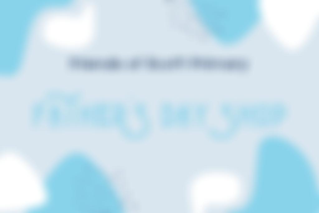 Friends Of Scott Primary | Charici