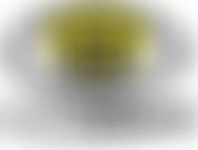 Sight Support Ryedale | Charici