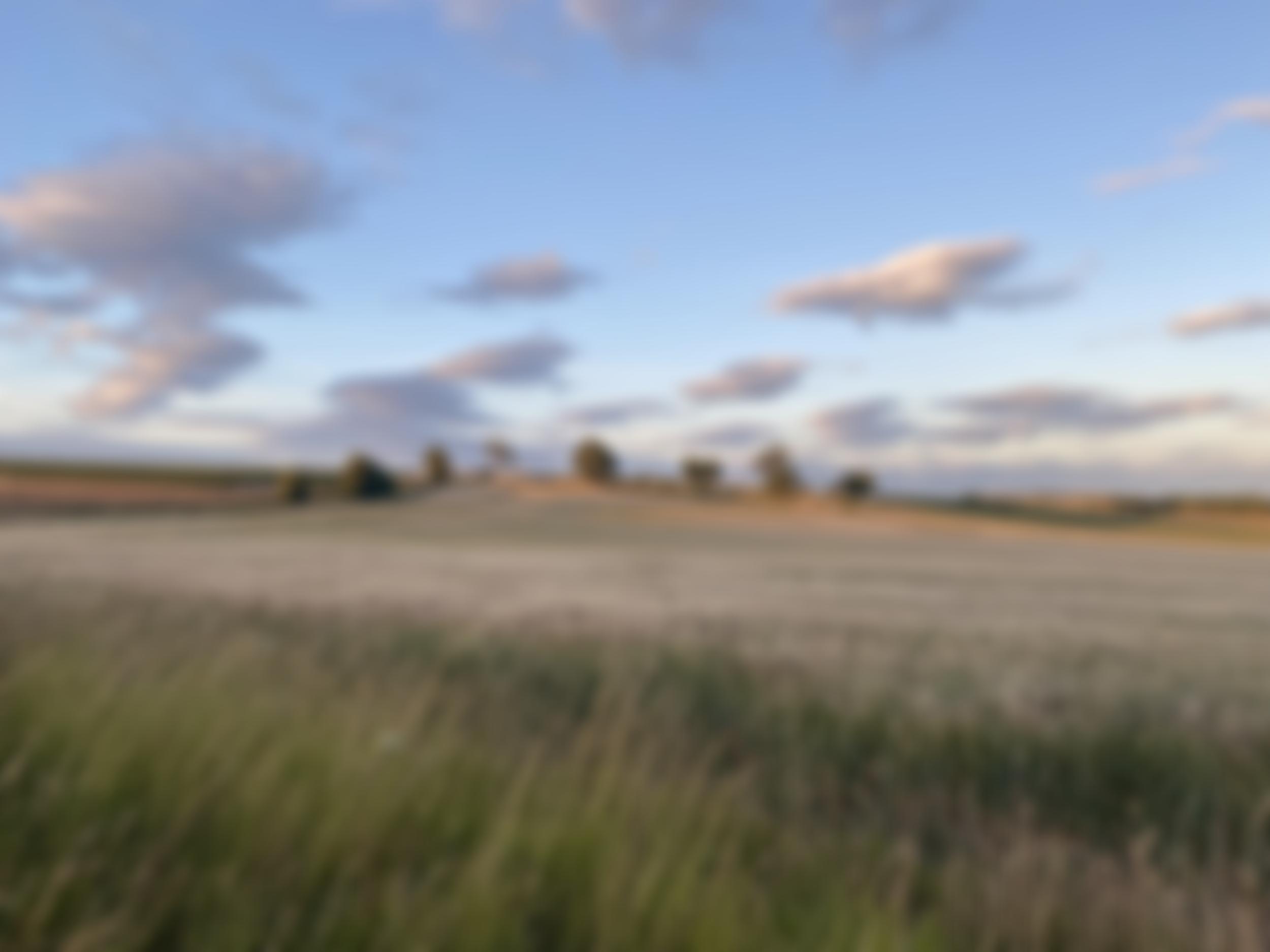 Saxton Village Hall Cio | Charici