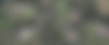 Chelwood Community Fund Cio | Charici