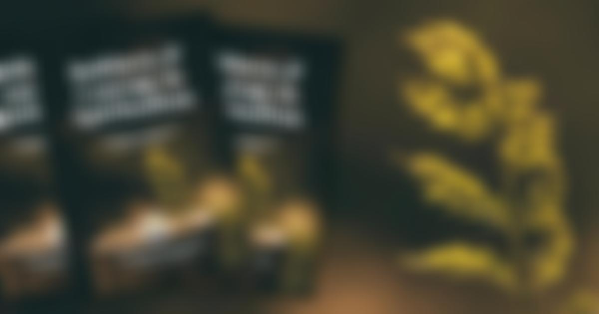 Wellington Spiritualist Church | Charici