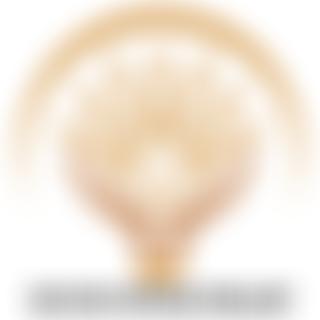 Seven Spikes Relief Foundation | Charici