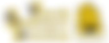 Penrith And District Beekeepers Association | Charici