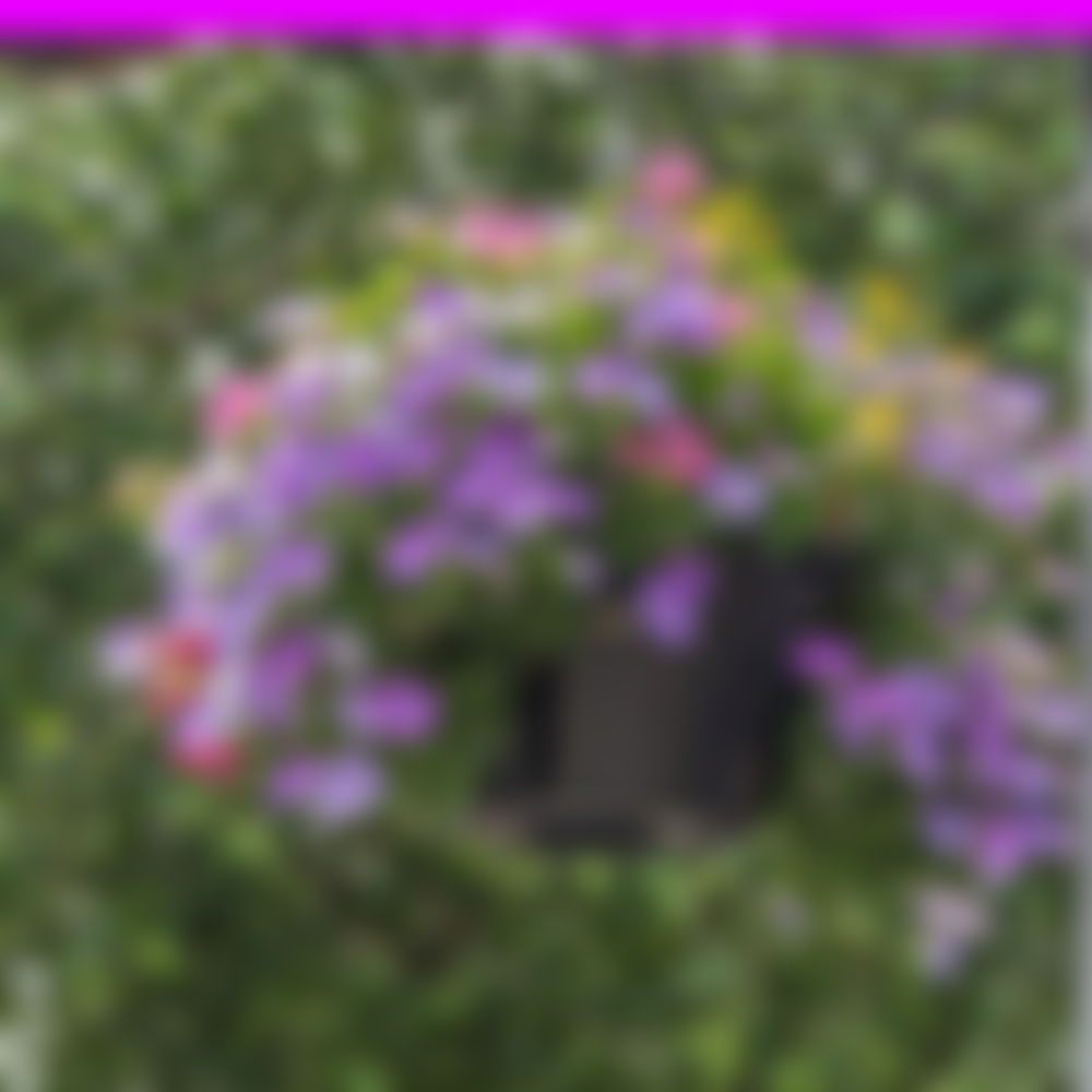 Headington Action | Charici