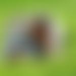 Elise Pilkington Charitable Trust | Charici