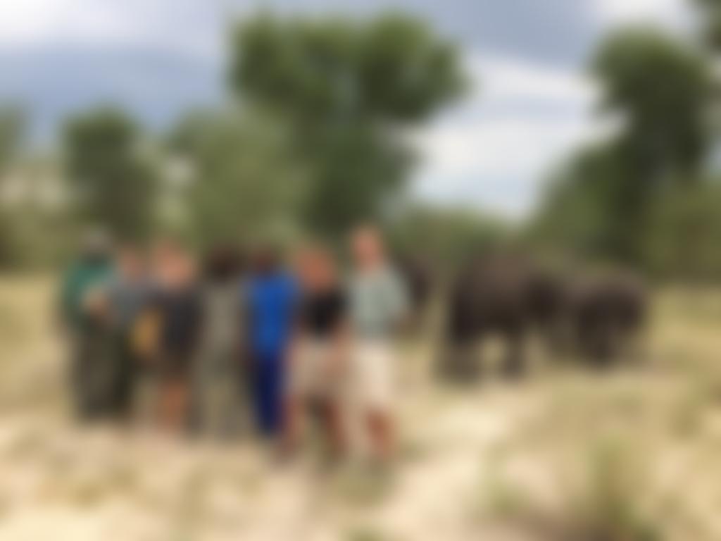 Maun Animal Welfare Society (UK) | Charici