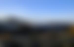 Bernician Studies Group | Charici