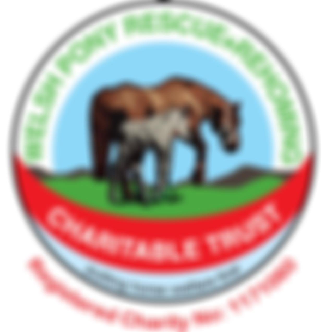 Welsh Pony Rescue & Rehoming Charitable Trust | Charici