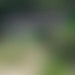 Copsale Village Hall | Charici