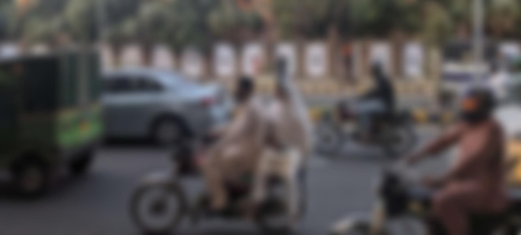 Invisible Dust | Charici