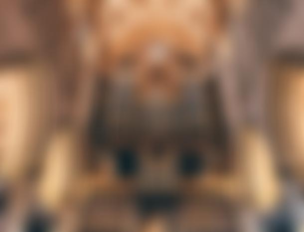 The Friends Of Wells Cathedral | Charici