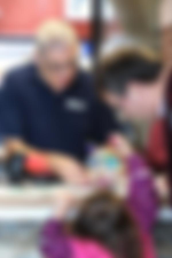 Friends Of Lyme Regis Philpot Museum | Charici