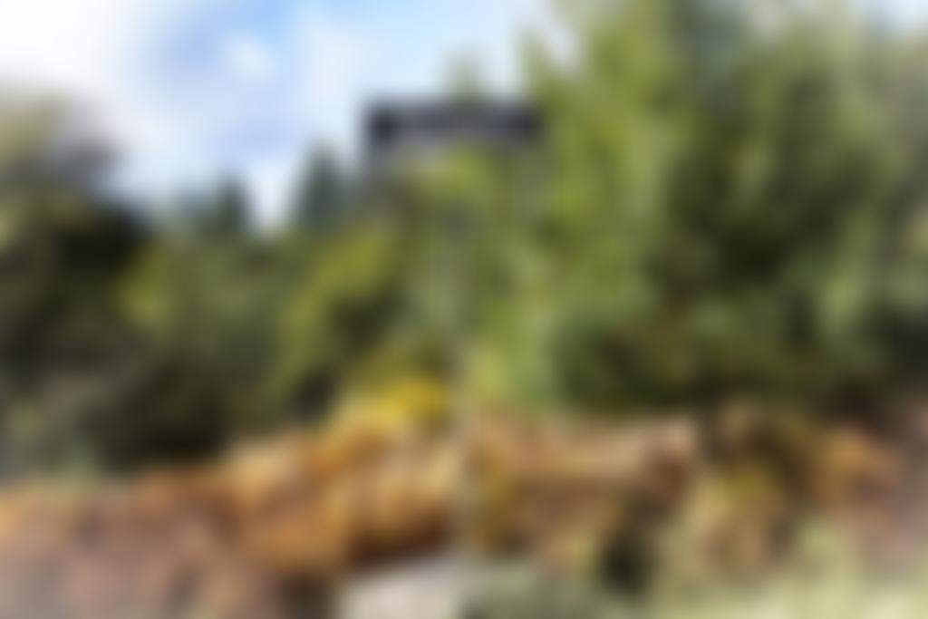 Pillowell Village Hall | Charici