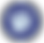 Rags To Riches Romanian Dog Rescue | Charici