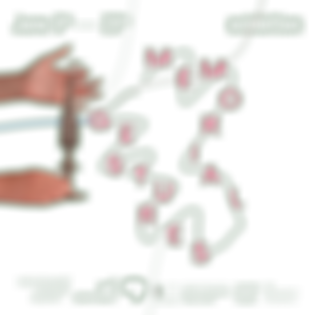 Holocaust Survivors' Friendship Association | Charici