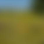 Froyle Wildlife | Charici