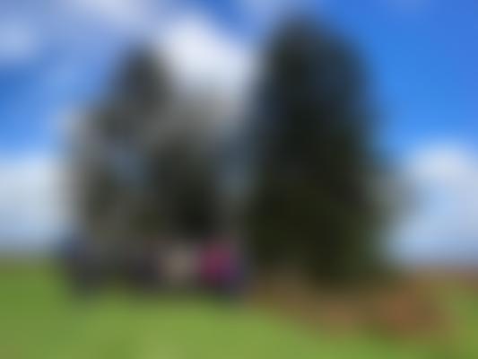 Kington Walks | Charici