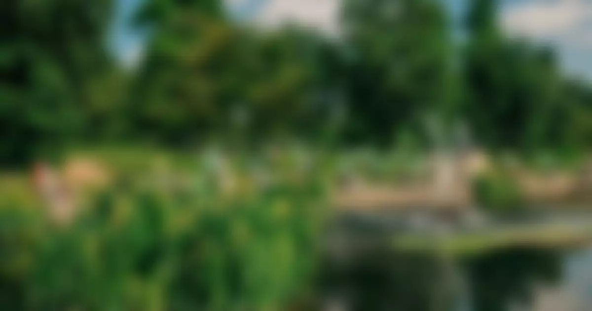 The Royal Parks [Limited] | Charici