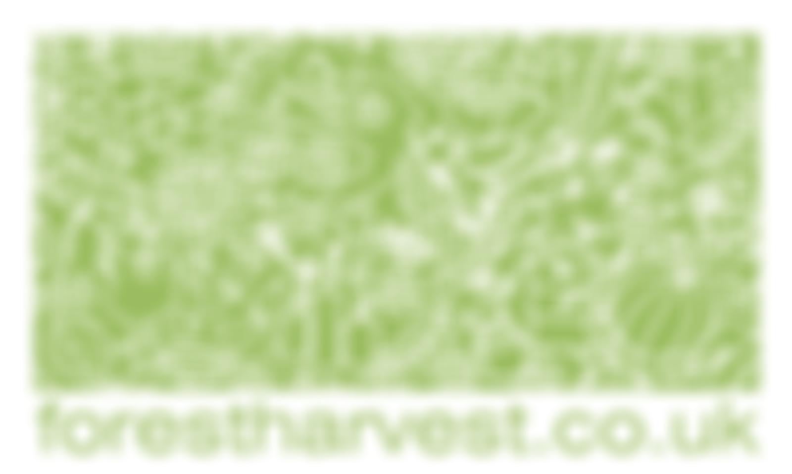 Forest Harvest | Charici