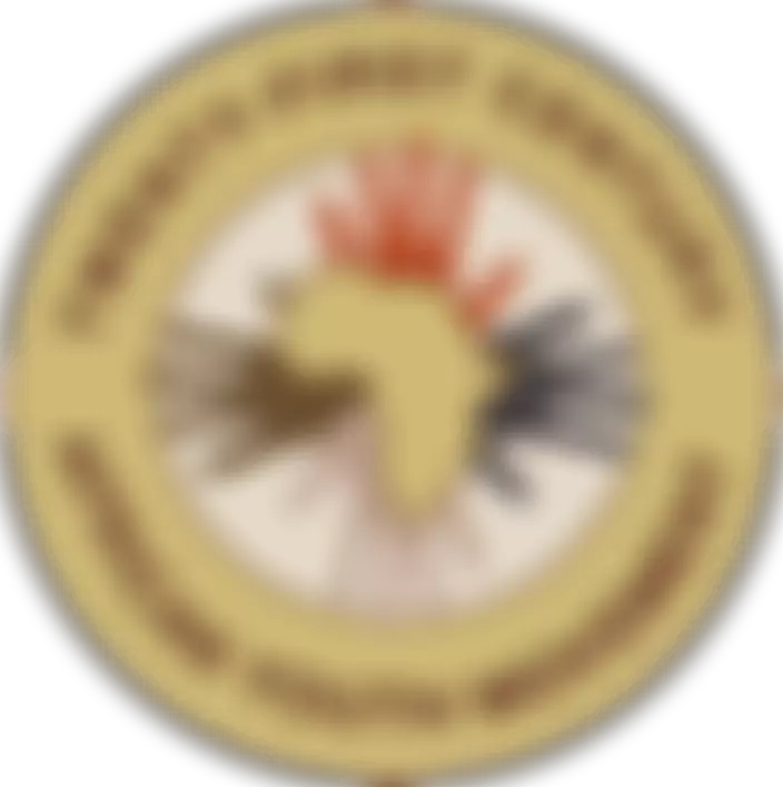 Twenty-First Century African Youth Movement | Charici