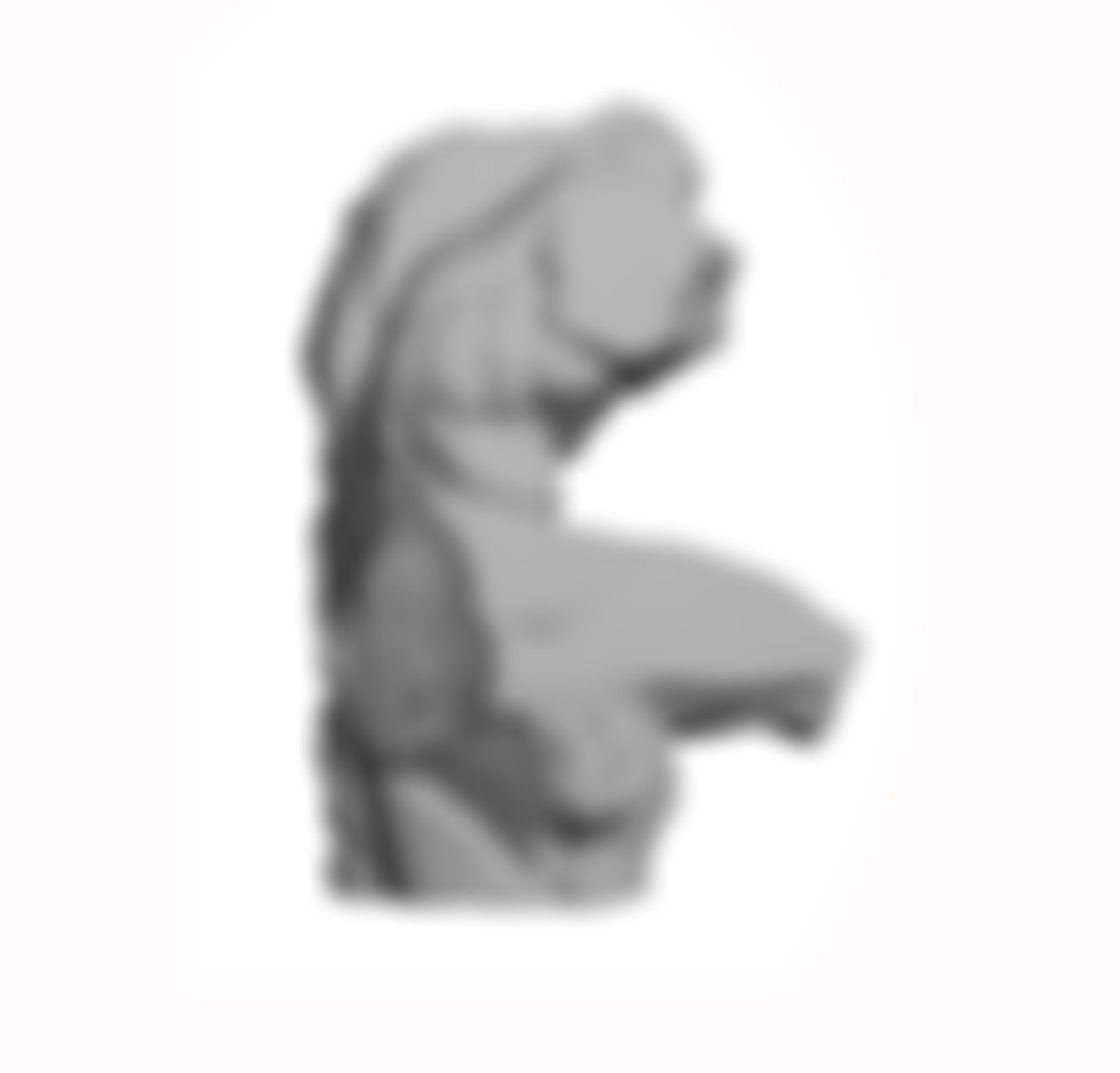 The Alpine Fellowship Foundation | Charici