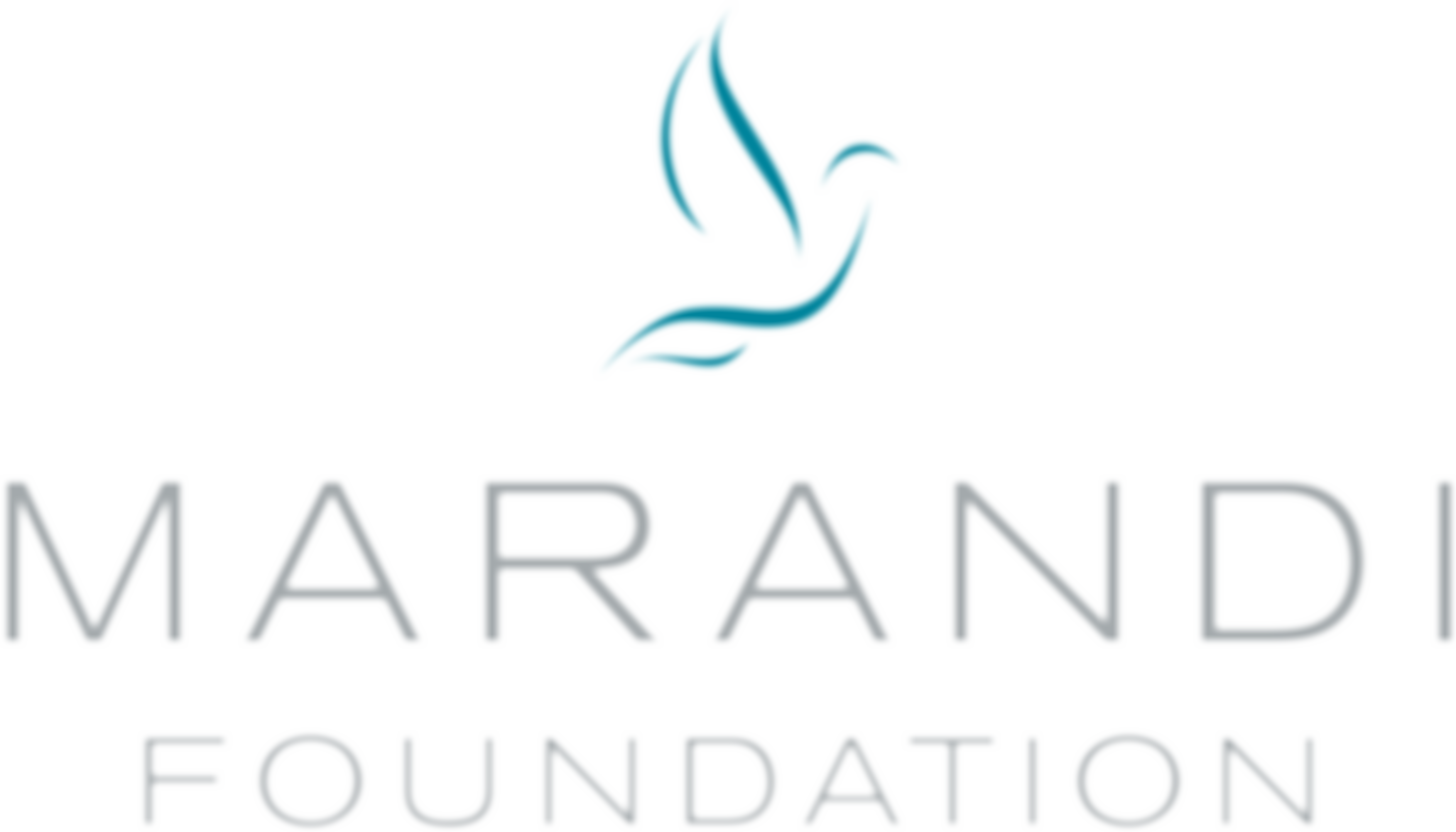 The Marandi Foundation | Charici