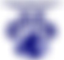 Animal Spay And Neuter International | Charici