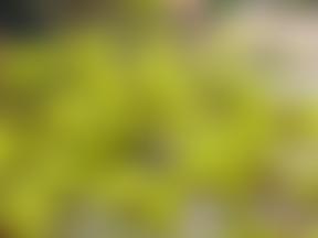 Kirkby Fleetham Village Hall | Charici