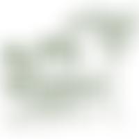 Blyth Woods | Charici