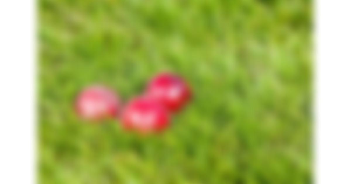 Bury St. Edmunds Cricket Club | Charici