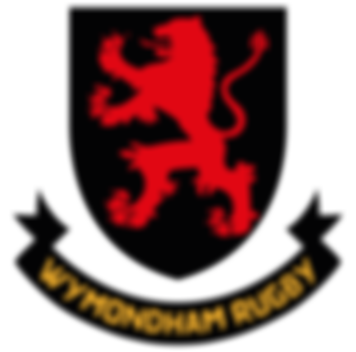 Wymondham Community Rugby Trust | Charici