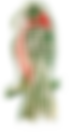 Ansari Qadiri Rifai Sufi Order Of The United Kingdom | Charici