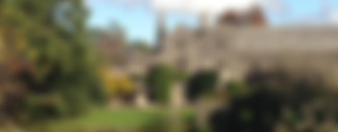 Dartington Community Choir | Charici