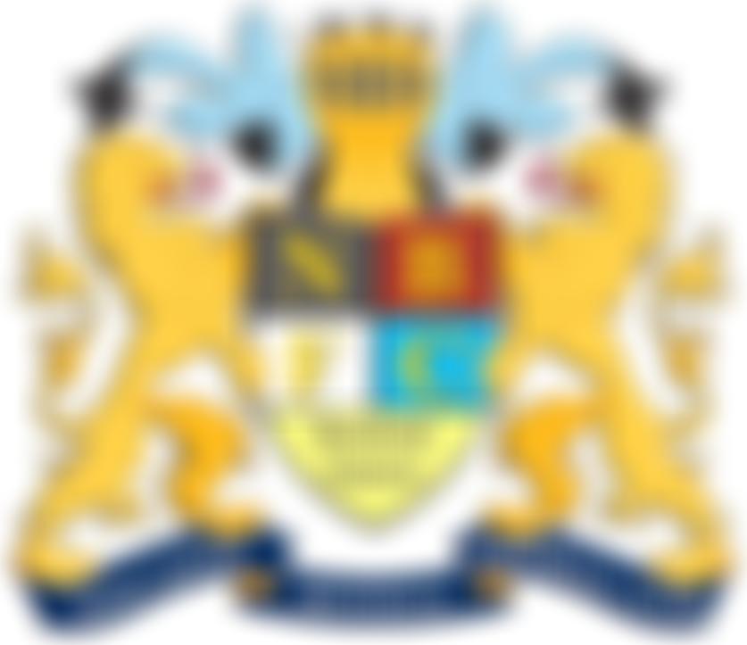 Newcastle Benfield Juniors Football Club | Charici