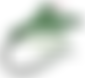 Leicester Caribbean Cricket & Social Club | Charici